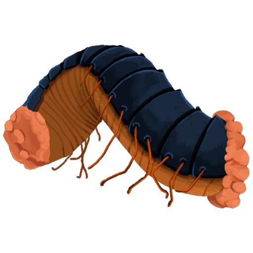 Decimillipede