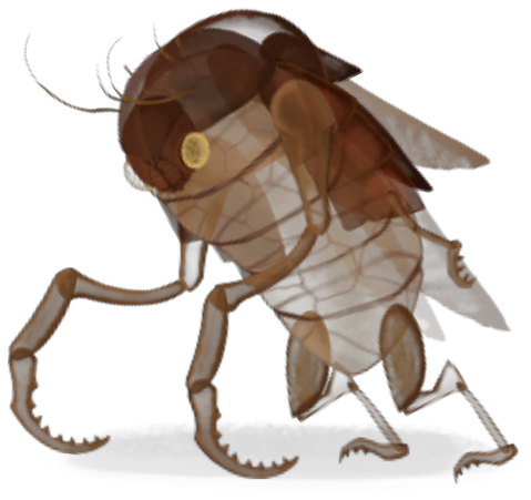 Exoskeleton