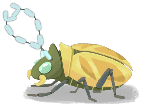 Shrinker Beetle