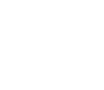 Soul Fysh