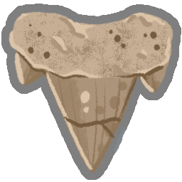 Archaic Tooth