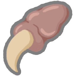Pael's Claw